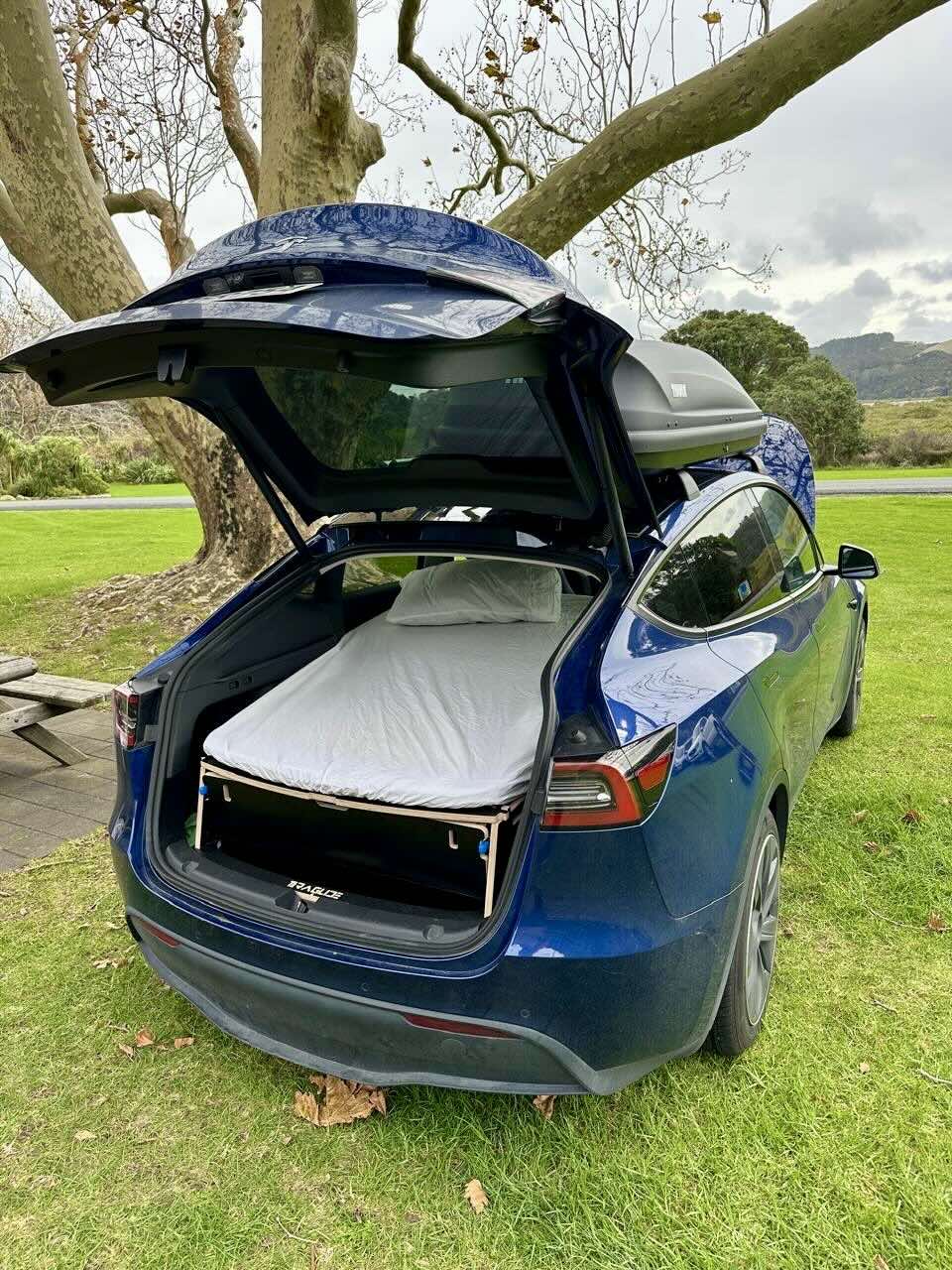 Tesla Model Y parked in a grassy Australian campsite with the Teraglide PRO camping conversion kit set up in the trunk for sleeping